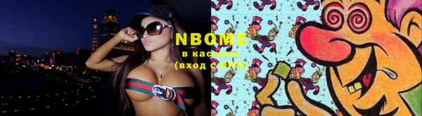 прущие грибы Рославль