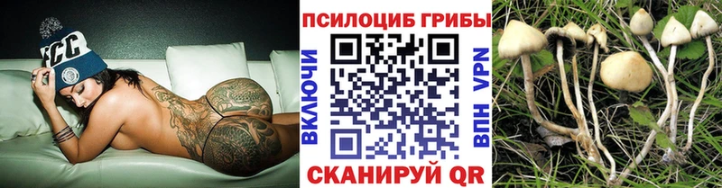 Псилоцибиновые грибы MAGIC MUSHROOMS  Инта 